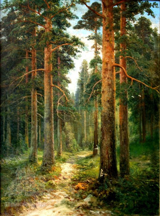 Семен Федоров (1867–1910) «Сосновий ліс» -artmuseum.org.ua